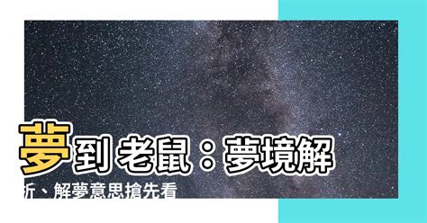 夢到三隻老鼠|夢到老鼠的隱藏意義與數字解析：你的夢境在暗示什麼運勢？